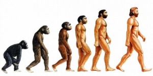 evrim-maymun-insan