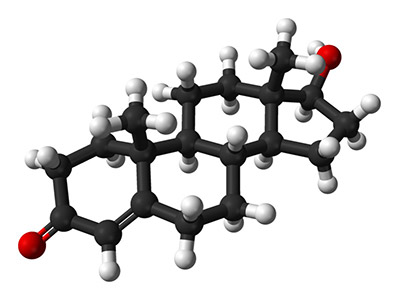 Steroid molekülü