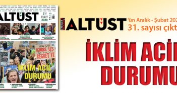 Sayı 31: İçindekiler